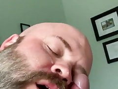 Bear facial