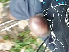 Sex in the jungle, pussy eating penis, penis ready to fuck