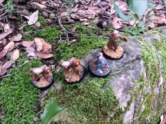 Giant naked male in Wonderland !
