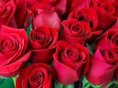 Mature hardcore action featuring Desi Mazaa