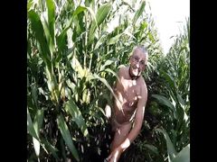 Maize Walk