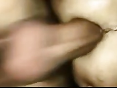 Gay DAP