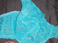 my wife's bras