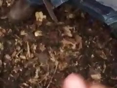 Masturbate with Friend 01