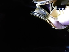 gelbe Heels besamt