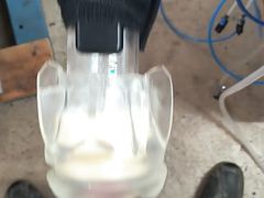 Cock milking F21s 50 LPM Pump L80 Pulsator