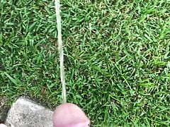 Backyard Pissing