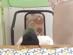 I love to do pranks and I have a friend who also likes to do them.