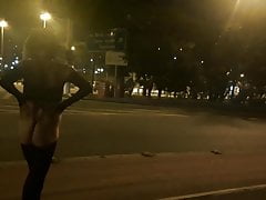 Night tour