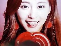 TWICE tzuyu cum tribute