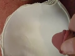 Cum in 36f cup