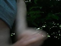 Out in the woods
