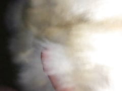 Rubbing Fox Fur Coat on Cock