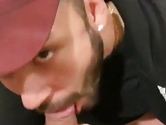 Lap up that seed