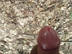 nackt im wald