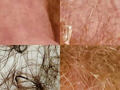 4 Closeup Shots of Belly Button and Penis on MultiCam