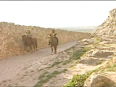 Knights in action