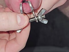 I try out my new penis stretchers, while I push other plugs completely in.