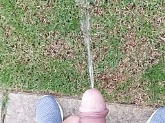 Long backyard pee