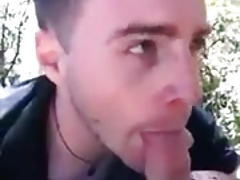 Forest sucking