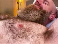 Three Hairy Bears meet up in Hotel