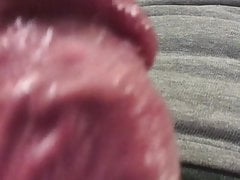Massive Dick Attraction: I am Satan Piranha or faltas69!(!)!