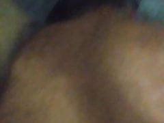 Bear pussy amazing