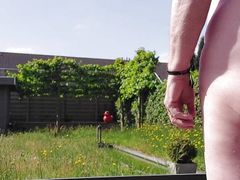 Nice weather in the garden