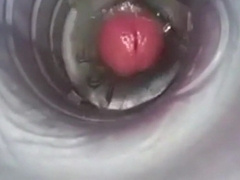 Amateur Hefty Meatpipe Hand job Getting off