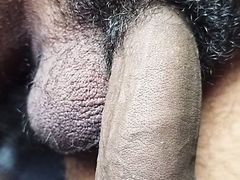 My cute cock, ready for bed share