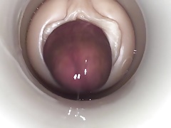 Cum Alive by cum cam man