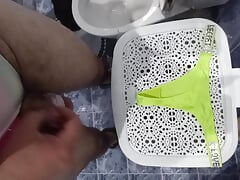 Wife panties