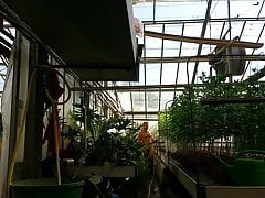 2015 September watering naked at work