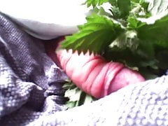 Lockdown Nettles on cock Part 3