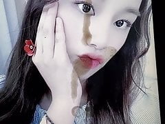 Laboum Solbin Birthday Cum Tribute