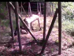 BONDAGE & DISCIPLINE Pornography HD sequence 24