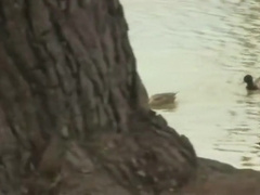 Jason Valencia & Robbie Anthony Crazy Fuck Preview