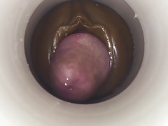 Cum ci cum ca by cum cam man