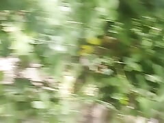 Bayer outdoors