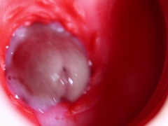 Ultra-cute large head glides inwards bestie's sweet glistening fuckhole!