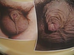 My willy pre-cumming & peeing on pics of friend's tiny uncut