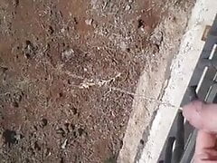 Piss in nature