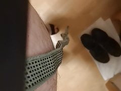 Tranny with leash walking in the apartment
