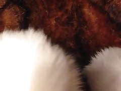 THE FOX FUR STROKE 2