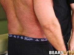 Daddy bear Brad Kalvo eats ginger ass before bareback