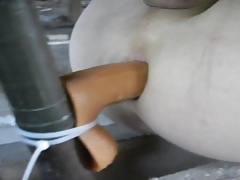 dildoing