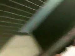 GYM DANDIES