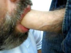 daddy bear sucking a nice cock
