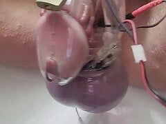 Electro chastity sissygasm