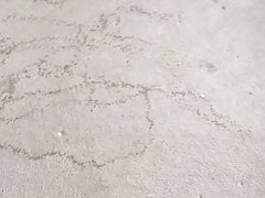 Pissing on my bedroom carpet